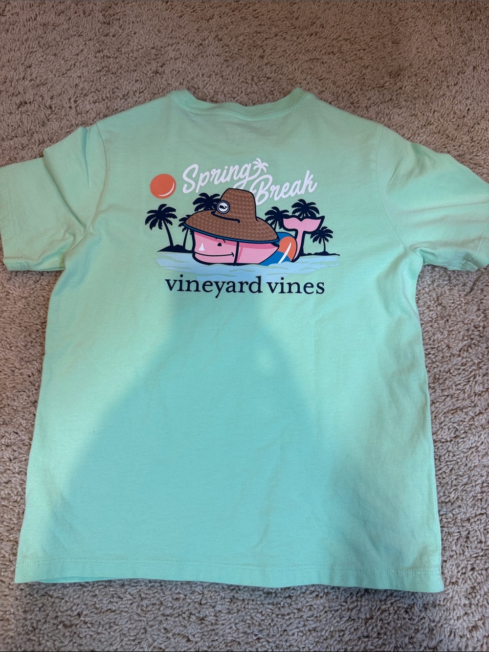 Vineyard Vines Kids Spring Break Tee in Mint with Graphic